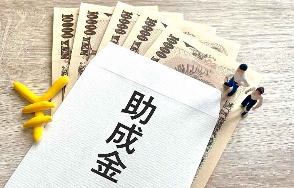 起業家のための助成金・補助金の活用方法