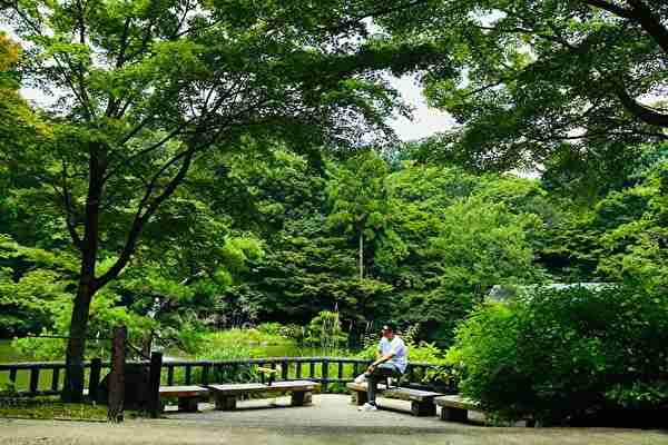 名古屋市内の河川